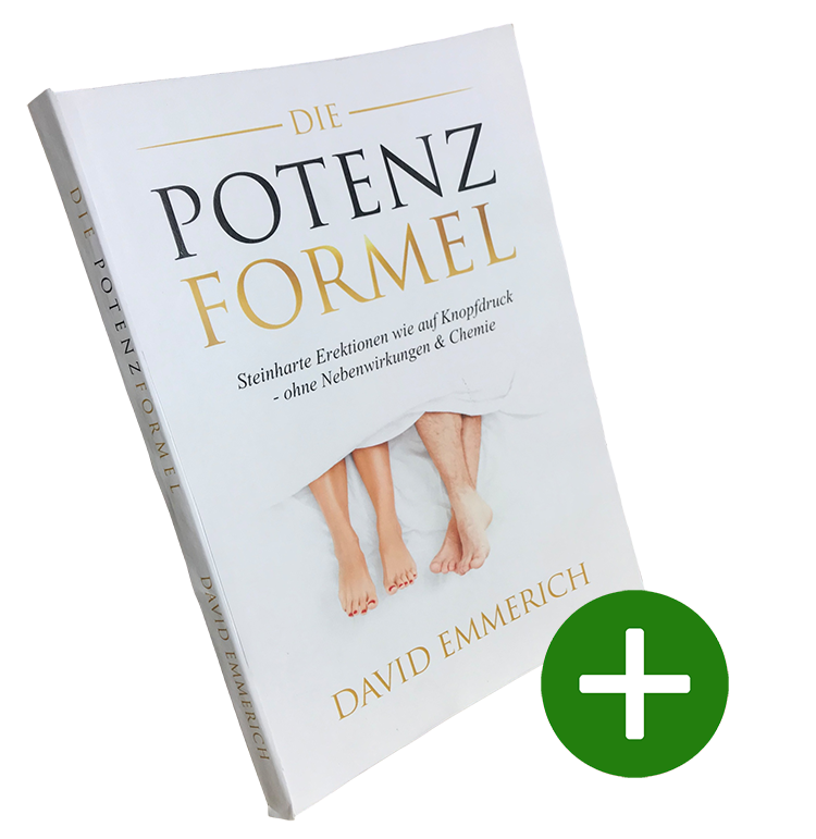 Die PotenzFormel Buch
